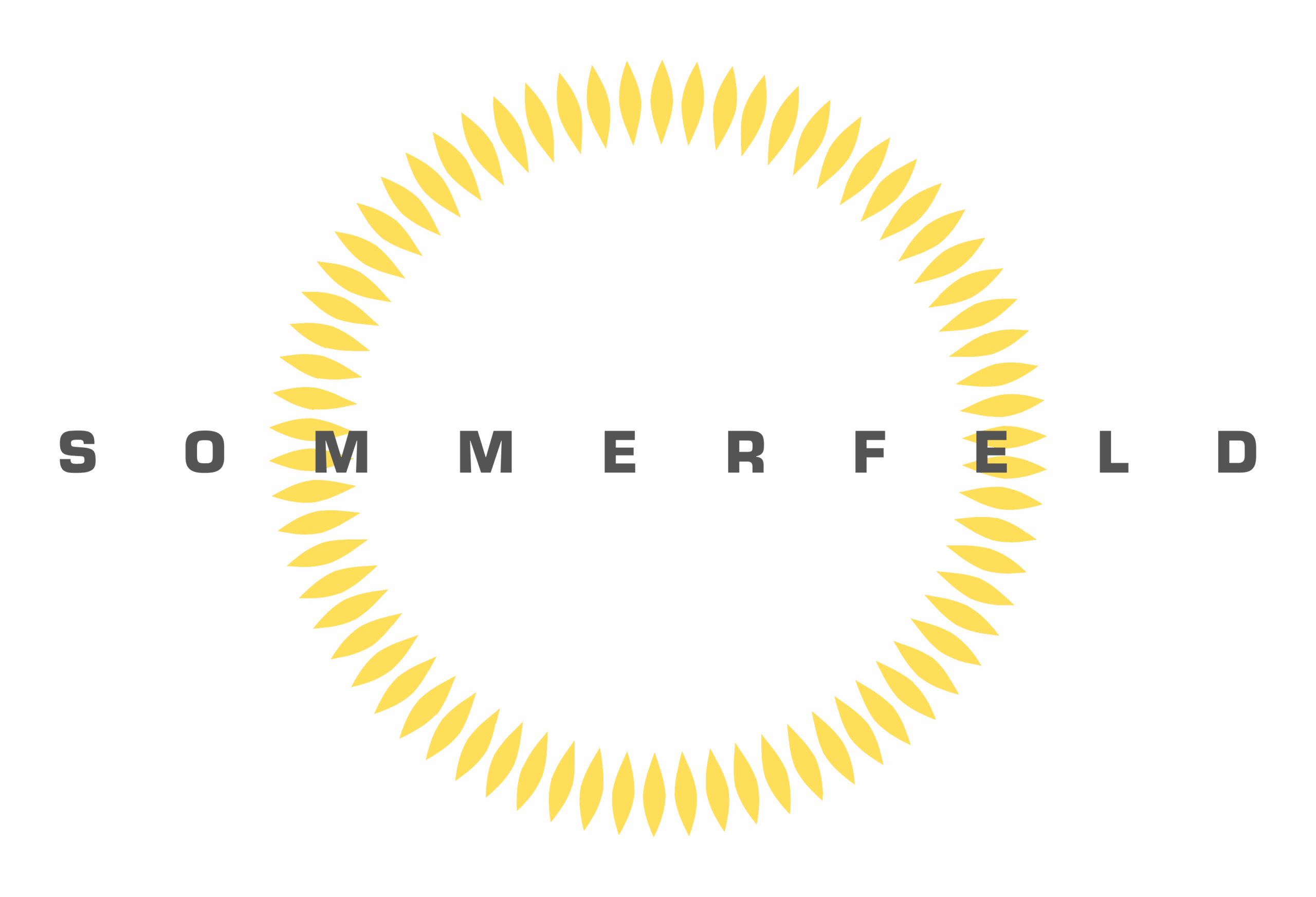 Color logo - no background